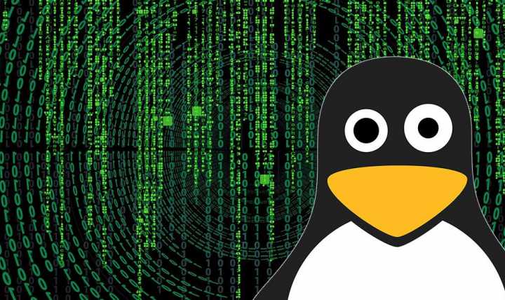 20+ Perintah Linux yang paling sering dipakai
